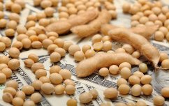 Soybeans on top of $100 bills.